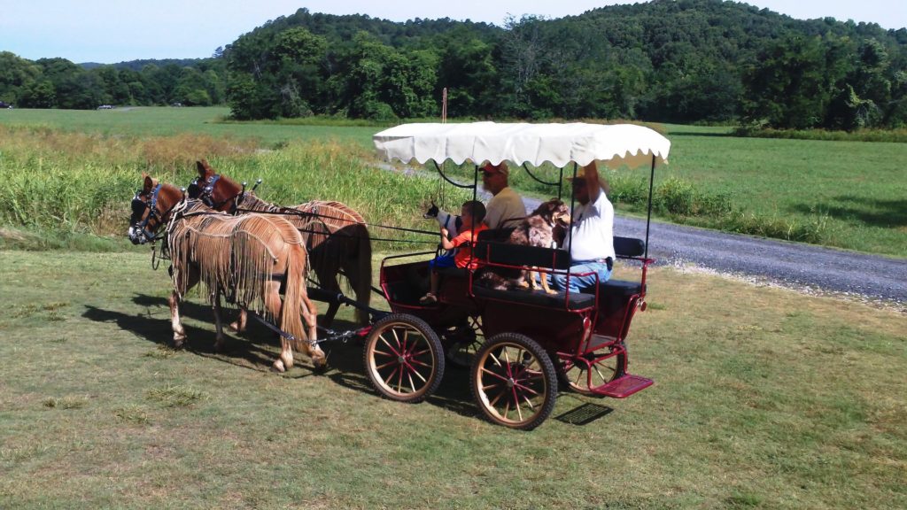 wagon-ride