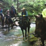BCHA riders on the trail at Cowboy Up
